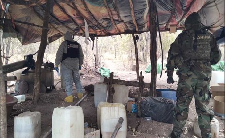 Desmantelan 18 laboratorios clandestinos y 60 plantíos de amapola y marihuana en Sinaloa y Michoacán