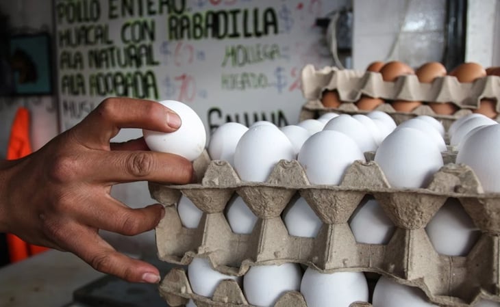 Precio de huevo blanco se mantiene en 53 pesos las 18 piezas: Profeco