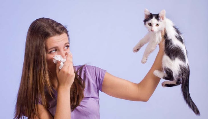 ¿Cómo minimizar los síntomas de alergias ocasionadas por las mascotas?