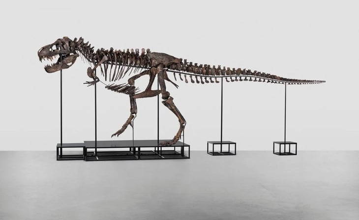 Suiza subastará esqueleto de tiranosaurio rex en más de 8 mdd