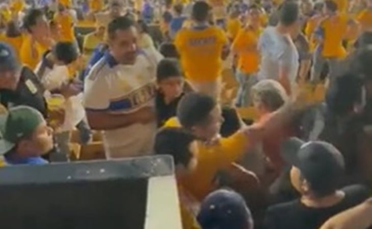 VIDEO: Aficionado de Tigres golpea cobardemente por la espalda a uno del América