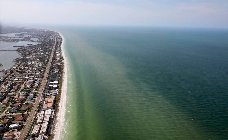 ¿La mayor masa de sargazo en la historia? Aparece en la costa oeste de Florida