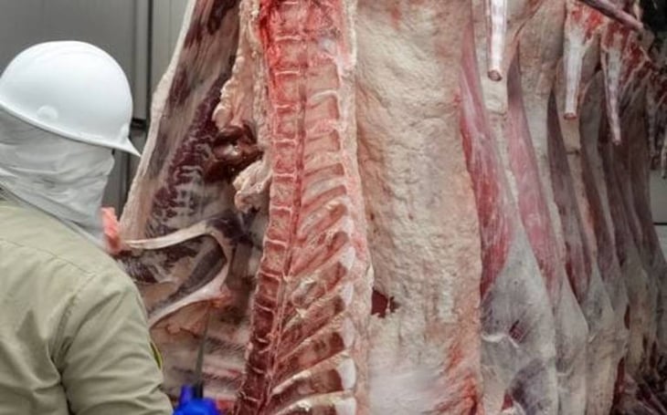 Industria porcina produce 1.7 toneladas de carne al año