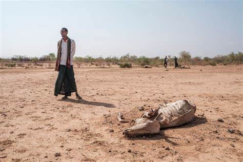 ONU alerta por 'riesgo inminente' de crisis por escasez de agua