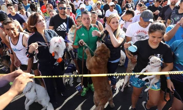 Realizan primer maratón canino en Coyoacán