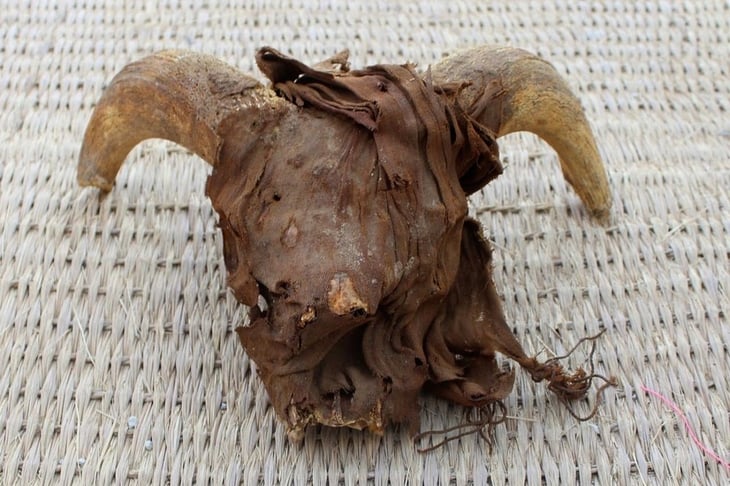 Arqueólogos descubren miles de cabezas de carnero momificadas en el interior de un templo egipcio
