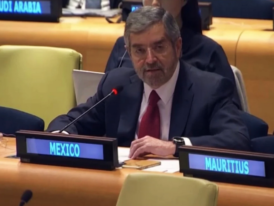 México pide transparencia y rendición de cuentas para reformar Consejo de Seguridad de la ONU