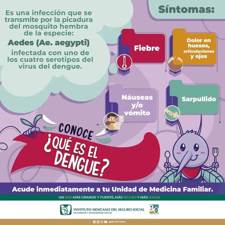 IMSS exhorta a conocer los síntomas de dengue