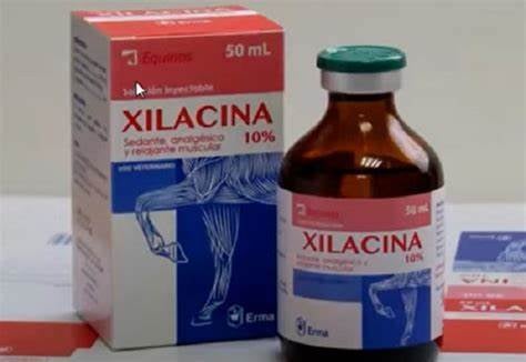 Xilacina, la droga zombi que EU declaró como una amenaza emergente