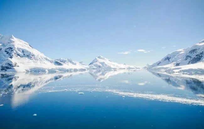 Un grupo de científicos descubren que hay vida en la Antártida