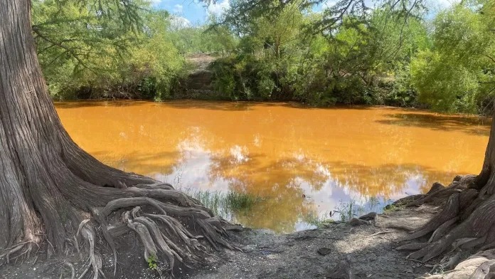 Urge detener contaminación en el río Sabinas: UAdeC