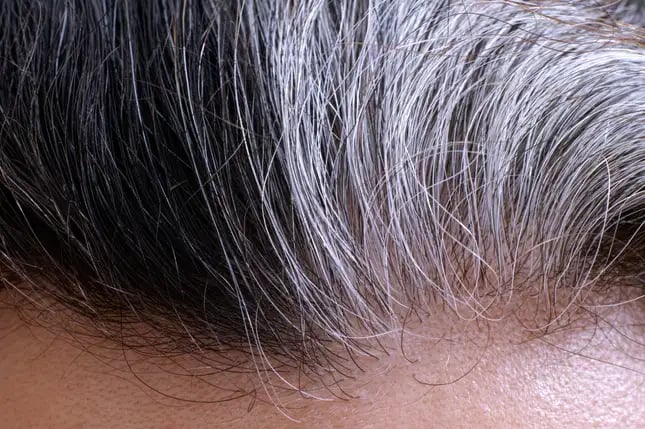 Un estudio parece haber encontrado la causa del pelo gris