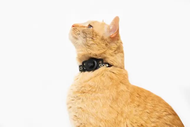 Este nuevo accesorio de Tile te permite rastrear a tu gato por la casa