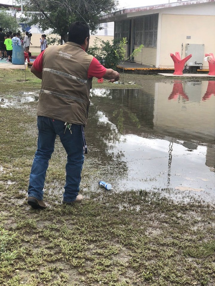 Vectores lleva acciones dentro de escuelas afectadas por lluvias