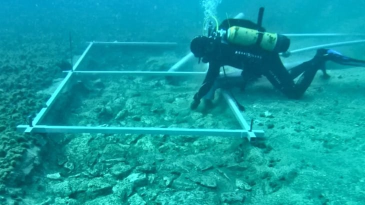 Encuentran una “carretera” de hace 7,000 años en el fondo del mar Mediterráneo