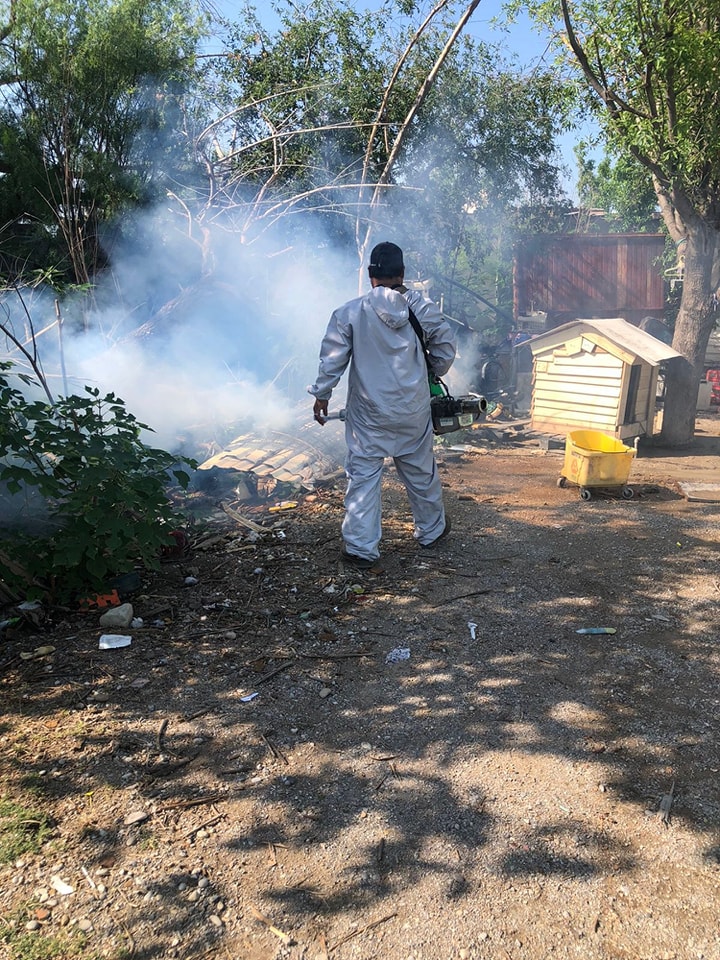 Vectores prevén con acciones combatir el dengue y erradicarlo