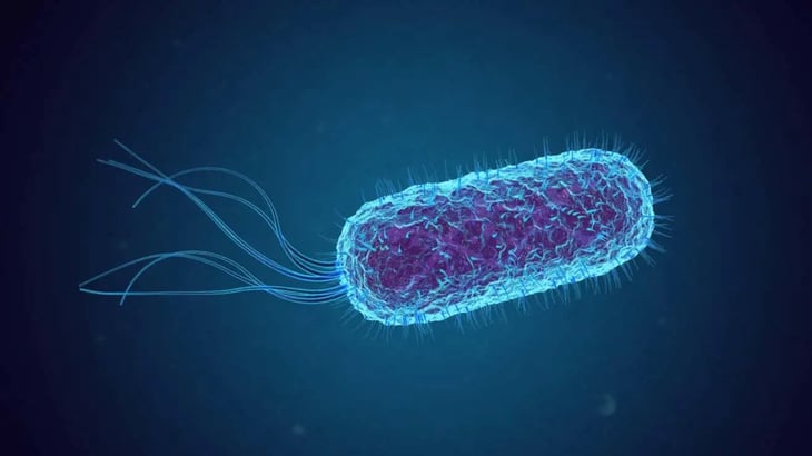 Esta bacteria editada genéticamente representa una esperanza contra el cáncer