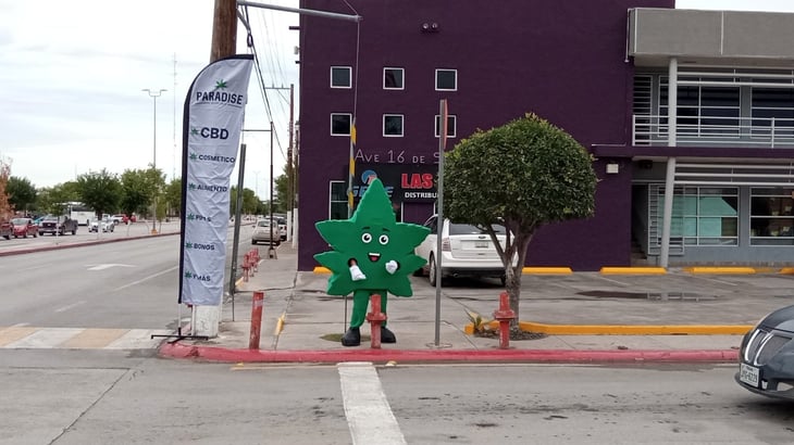 Franquicia de Vicente Fox llega a PN con la venta de productos derivados de cannabis