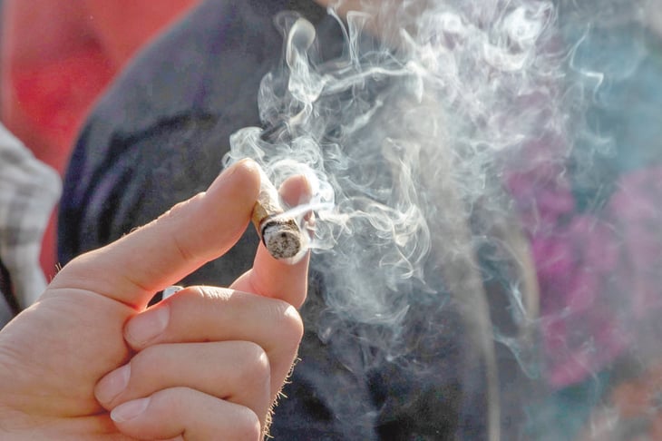 autoridades sanitarias rechazan cuatro de 50 solicitudes para el consumo de marihuana