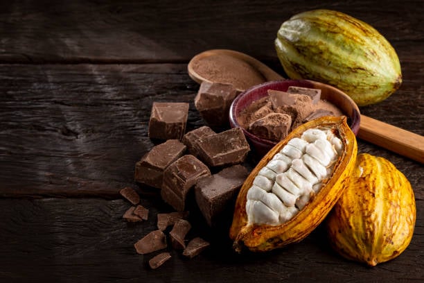 ¿Por qué el consumo de cacao beneficia la memoria?