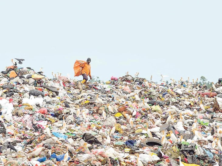 ONU advierte sobre riesgos  a la salud por desechos plásticos