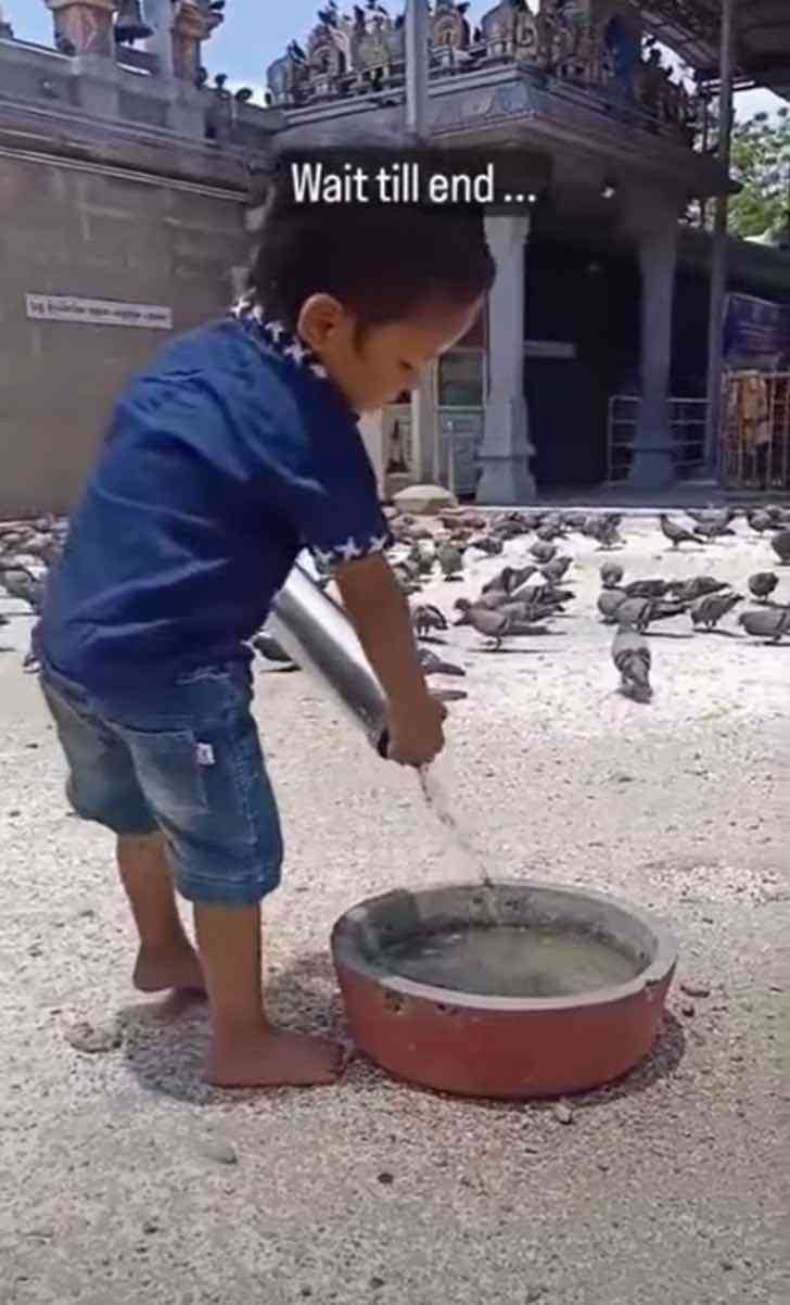 Niño que da de beber a las palomas se vuelve viral en redes