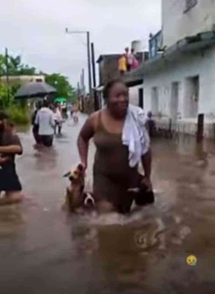 Mujer en Cuba salva a sus perros de inundación