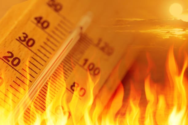 ¿Cuáles son los impactos de una ola de calor en la salud?