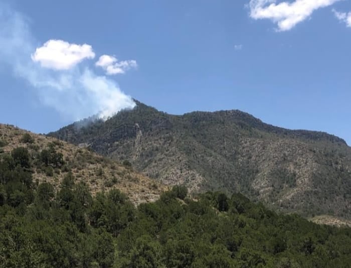 70 hectáreas quemadas en incendio en límites con Nuevo León