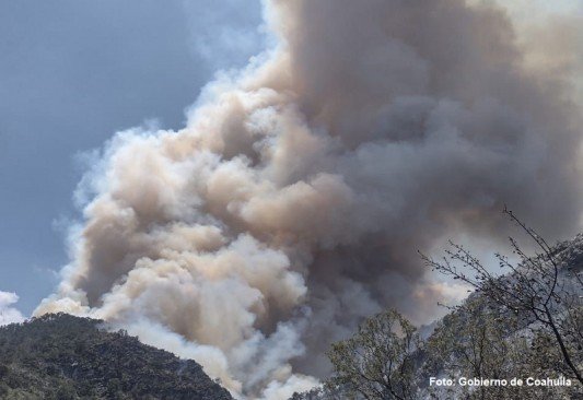 Controlan 40 por ciento incendio forestal en Ramos Arizpe 