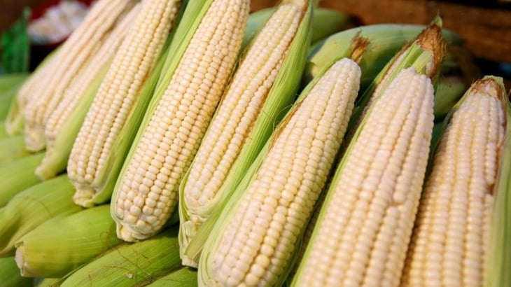 AMLO firma decreto en que se establece arancel del 50% en maíz blanco
