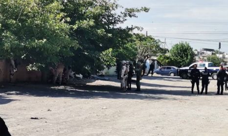 Abandonan explosivo, similar a un misil, debajo de un árbol en Ciudad Juárez