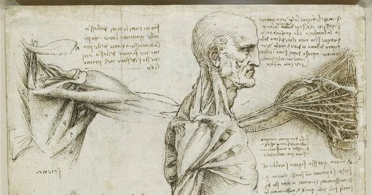 Leonardo da Vinci, anatomista visionario y pionero de la imagen médica