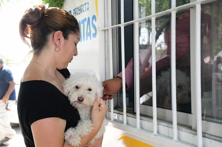 Módulos de atención animal siguen con programas gratuitos de atención