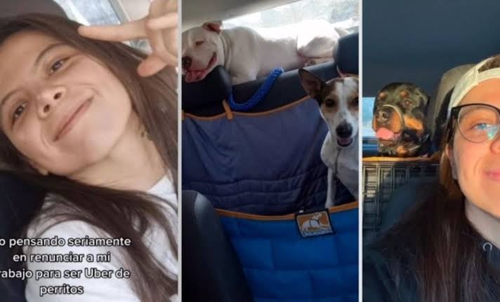 Joven se hace viral por su nuevo emprendimiento: uber de perros