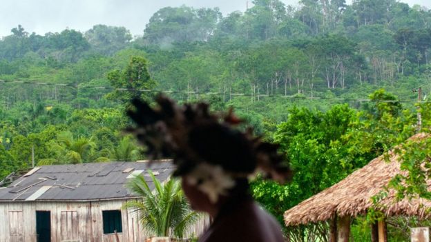 Gen que protege a los pueblos amazónicos de la enfermedad de Chagas