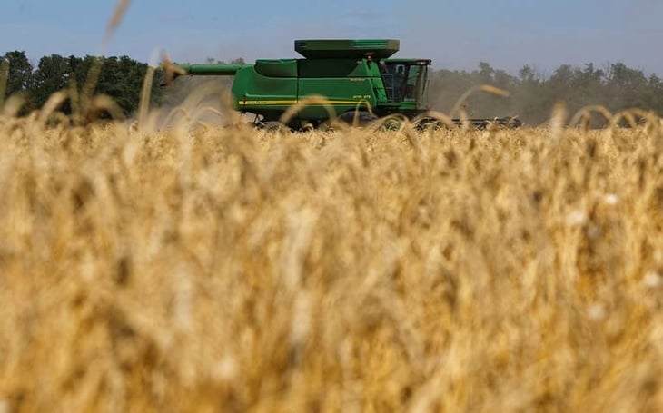 Precios de los granos se elevan por la guerra en Ucrania 