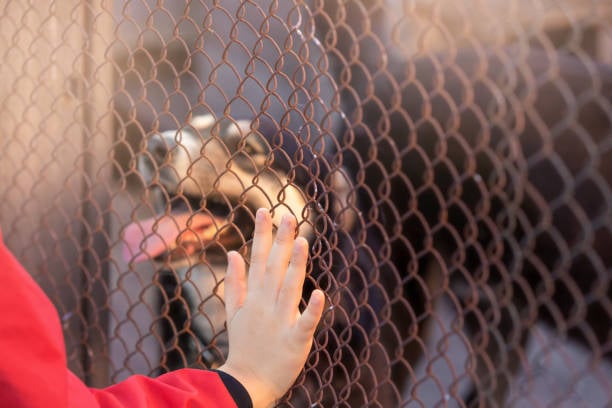 En cinco años se sacrificaron 17,500 perros en Saltillo, pero solo 450 se adoptaron
