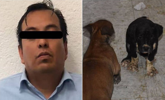 Investigan por maltrato animal a padre que agredió a maestra de kínder en Cuautitlán Izcalli
