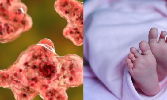 Bebé de dos años fallece en Nevada a causa de una rara ameba 'come' cerebros