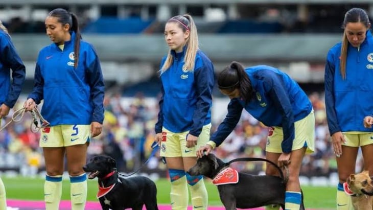 América Femenil y Santos Laguna promueven la adopción de perros
