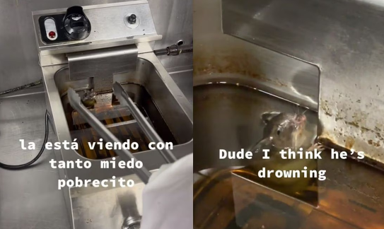 VIDEO: Empleado encuentra ratón en freidora de aceite y su reacción se viraliza