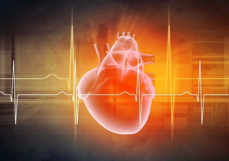 Los edulcorantes artificiales aumentan el riesgo cardiovascular y el peso