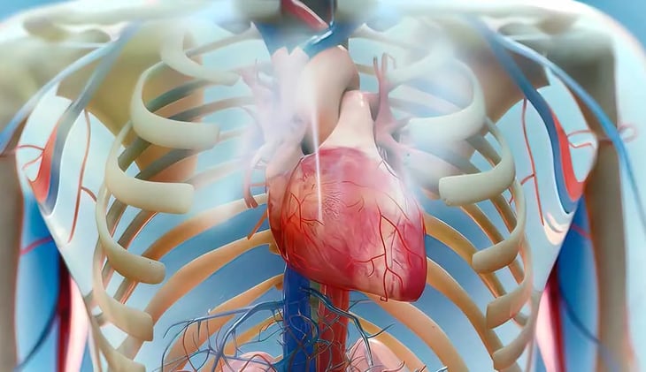 Restricción de sodio en la dieta de pacientes con insuficiencia cardiaca