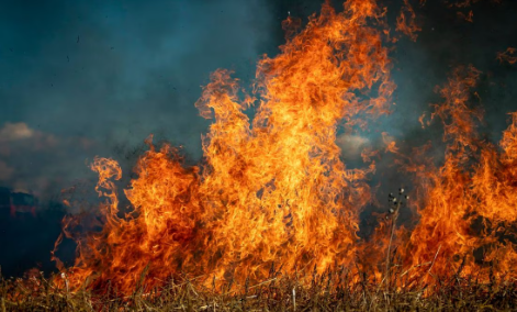 Incendios forestales en Hawái provocan desalojos; llamas destruyen destino turístico
