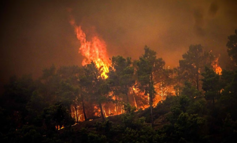 Incendios forestales en Hawai dejan al menos 36 fallecidos