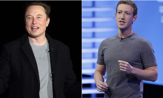 Elon Musk dice que pelea contra Mark Zuckerberg podría ser en una 'ubicación épica' de Roma