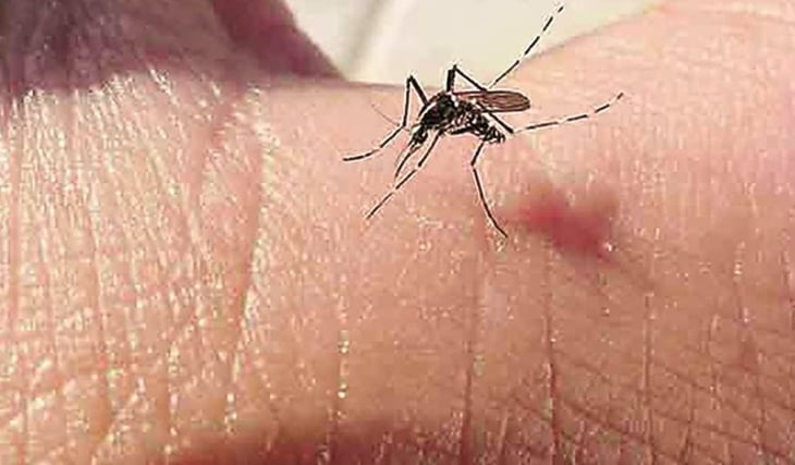 Yucatán registra 34 casos de dengue de gravedad en menores de edad
