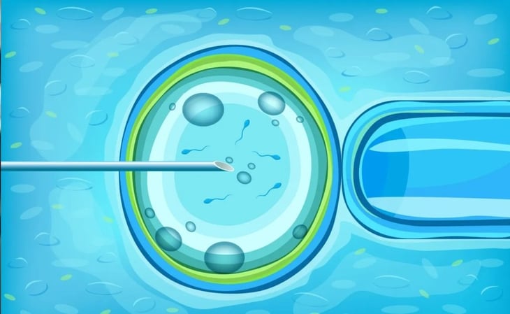 ¿Qué es la fecundación in vitro?