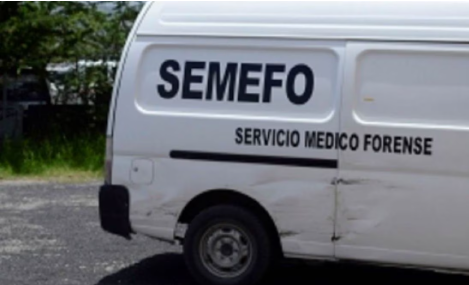 Son más de 13 cuerpos desmembrados hallados embalados y congelados en norte de Veracruz: Fiscalía estatal